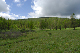 image0218