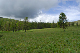 image0219