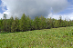 image0221