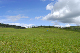 image0222