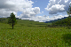 image0223