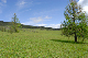 image0226
