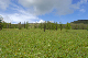 image0227