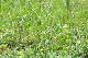 image0228