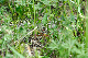 image0229