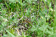 image0230