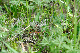 image0231