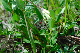 image0232