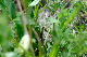 image0233