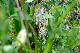 image0234