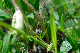 image0235