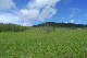 image0236