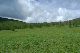 image0237