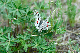 image0239