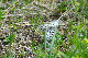 image0242