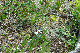 image0243