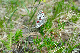 image0244