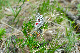 image0245
