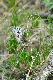 image0247