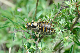 image0248