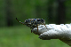 image0249