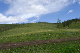 image0251