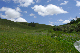 image0252