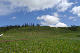 image0253