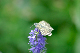 image0255