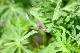 image0256