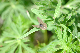 image0257