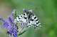 image0258