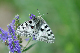 image0260