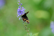 image0263