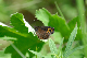 image0266