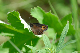 image0267