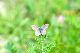 image0270
