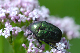 image0271