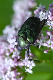 image0272