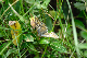 image0273