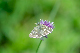 image0276
