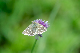 image0277