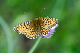image0278