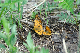 image0279