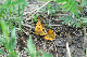 image0280
