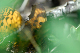 image0281