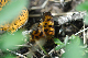 image0282