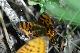 image0283