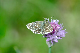 image0284