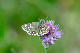 image0285